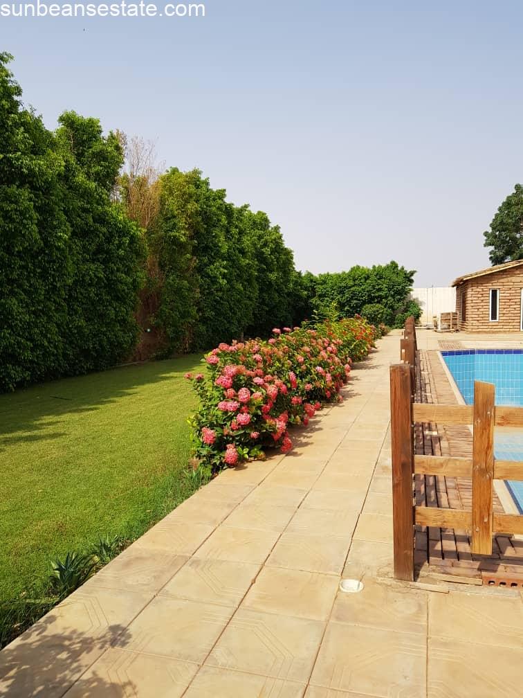 Rental Property in Khartoum Grand Villa for rent through Khartoum