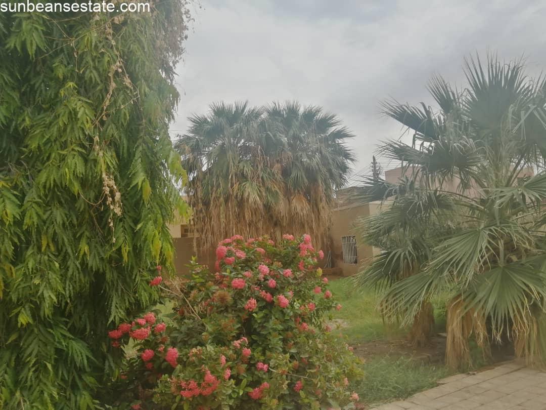 Buy House in Omdurman Property for Sale House for Restoration close to